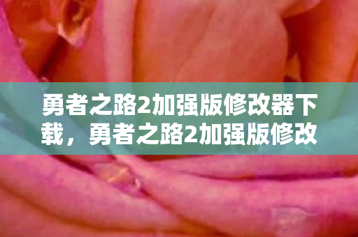 勇者之路2加强版修改器下载图片