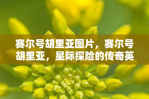 星际探险的传奇英雄图片