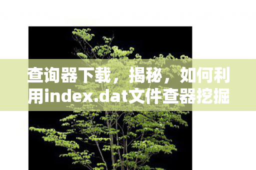 dat文件查器挖掘隐藏的数据图片