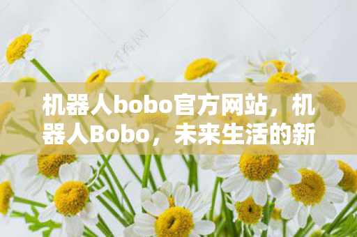 机器人bobo官方网站图片