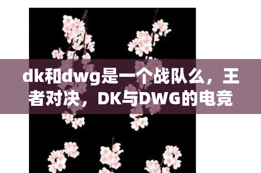 dk和dwg是一个战队么图片