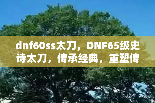 DNF65级史诗太刀图片