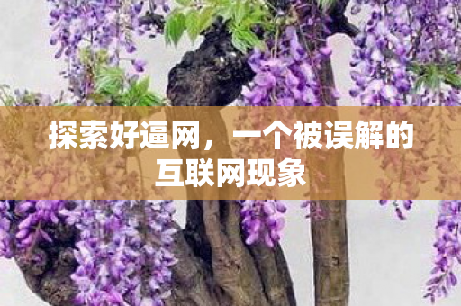 一个被误解的互联网现象图片