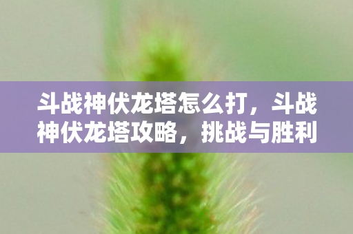 斗战神伏龙塔怎么打图片