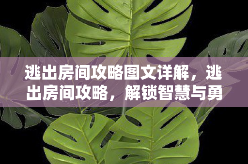 逃出房间攻略图文详解图片