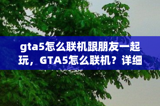gta5怎么联机跟朋友一起玩图片