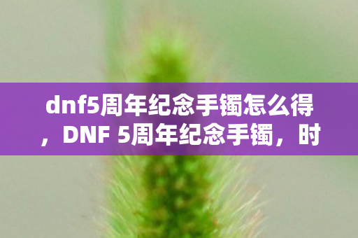 dnf5周年纪念手镯怎么得图片