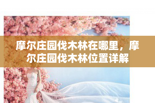 摩尔庄园伐木林位置详解图片