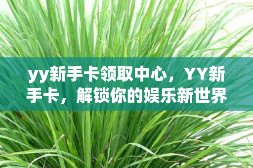 yy新手卡领取中心图片
