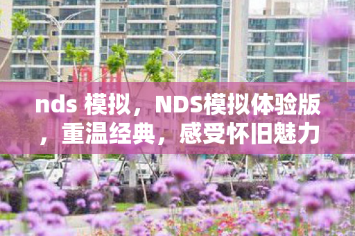 NDS模拟体验版图片
