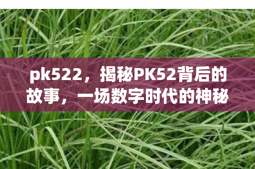 pk522，揭秘PK52背后的故事，一场数字时代的神秘之旅