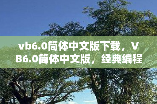 经典编程语言的传承与回忆图片