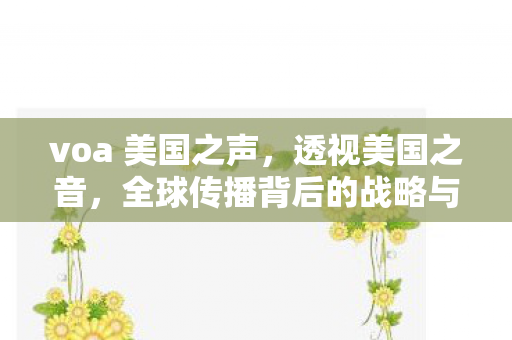 全球传播背后的战略与影响图片