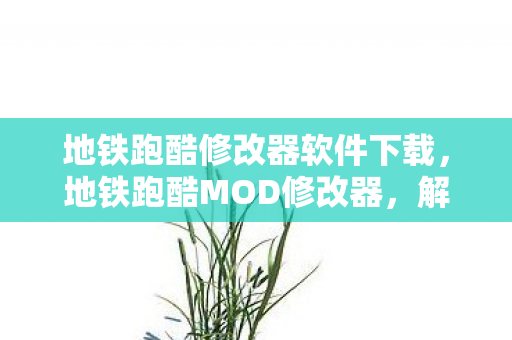 地铁跑酷修改器软件下载图片