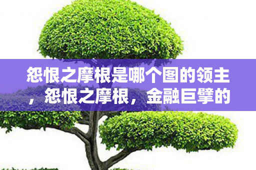 怨恨之摩根是哪个图的领主图片