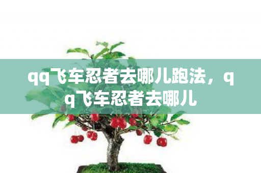 qq飞车忍者去哪儿跑法图片
