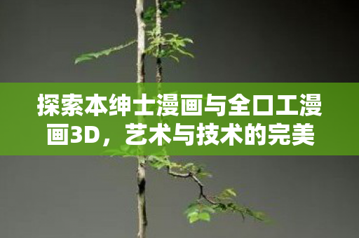 探索本绅士漫画与全口工漫画3D图片