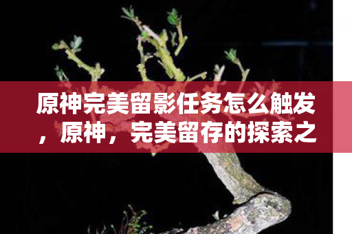 原神完美留影任务怎么触发图片