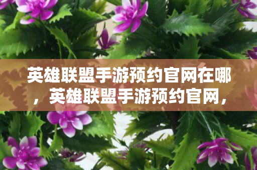 英雄联盟手游预约官网在哪图片