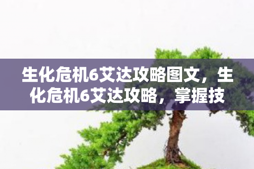 生化危机6艾达攻略图文图片