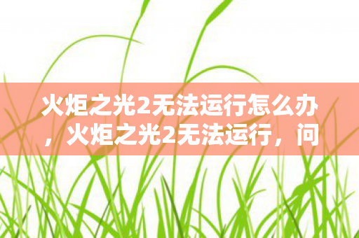 火炬之光2无法运行怎么办图片