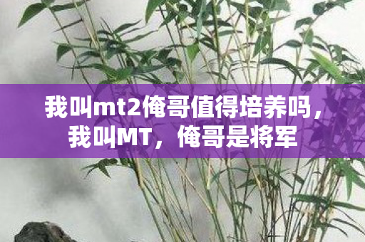 我叫mt2俺哥值得培养吗图片