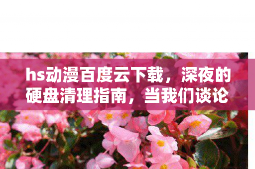 hs动漫百度云下载，深夜的硬盘清理指南，当我们谈论H动漫时，我们在谈论什么？