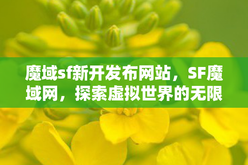 探索虚拟世界的无限可能图片