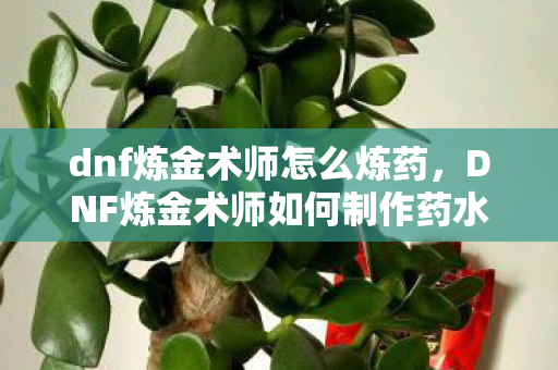 DNF炼金术师如何制作药水图片