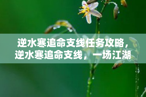 逆水寒追命支线任务攻略图片