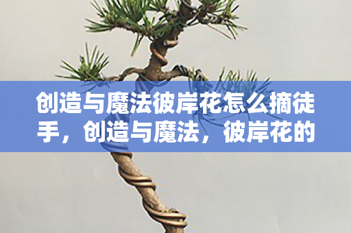 创造与魔法彼岸花怎么摘徒手图片