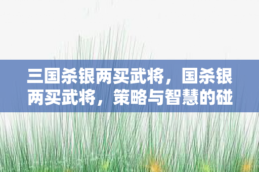 三国杀银两买武将图片