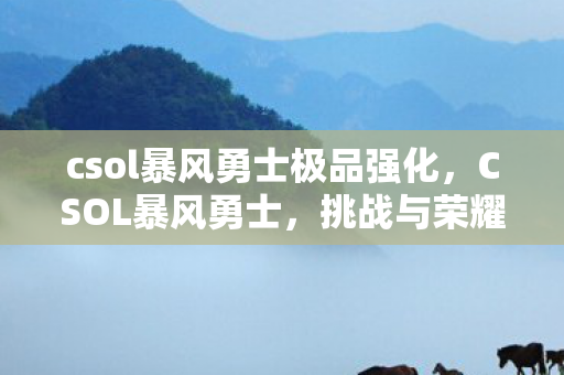 csol暴风勇士极品强化图片