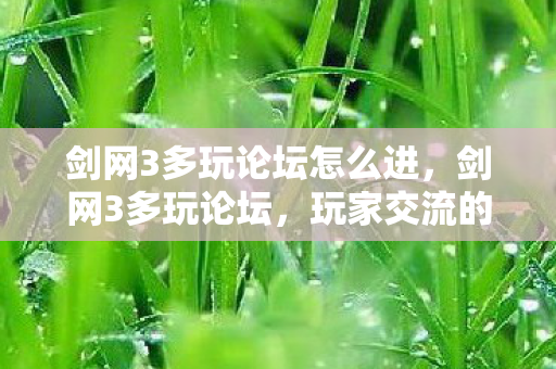 剑网3多玩论坛怎么进图片