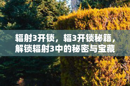 解锁辐射3中的秘密与宝藏图片