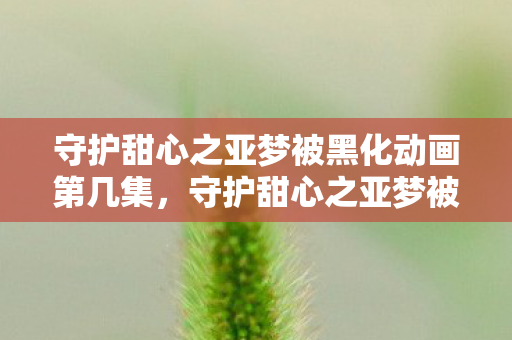 守护甜心之亚梦被黑化动画第几集图片