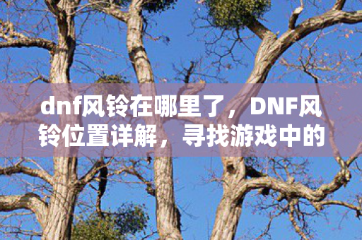 寻找游戏中的神秘NPC图片