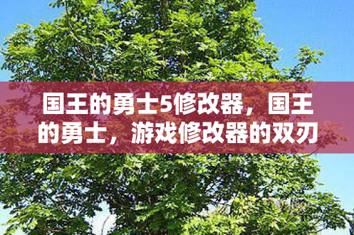 游戏修改器的双刃剑效应图片