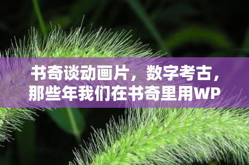 书奇谈动画片，数字考古，那些年我们在书奇里用WPE改写的青春与不可能