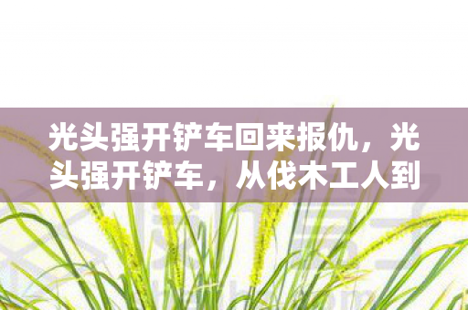 从伐木工人到机械驾驶员的转型之路图片