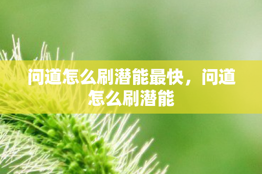 问道怎么刷潜能最快图片