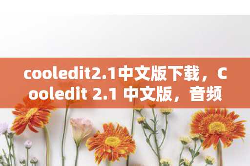 Cooledit 2图片