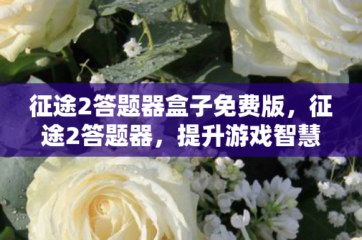 征途2答题器盒子免费版图片