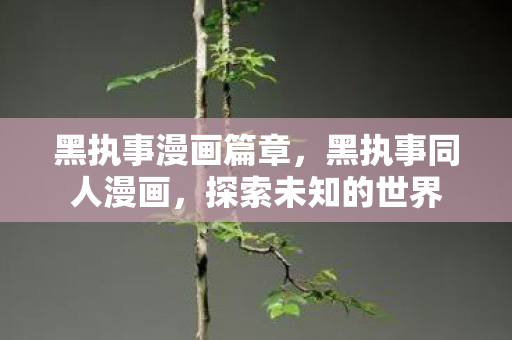 黑执事漫画篇章图片