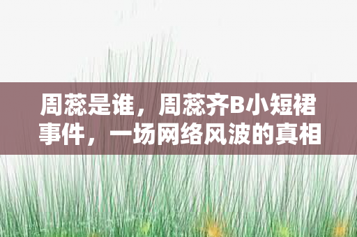 一场网络风波的真相与反思图片
