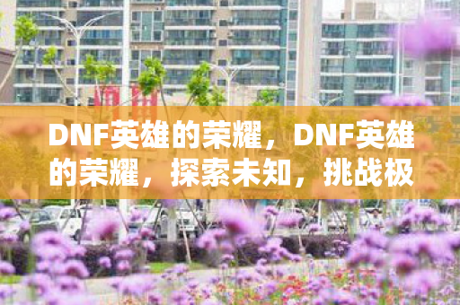 DNF英雄的荣耀图片