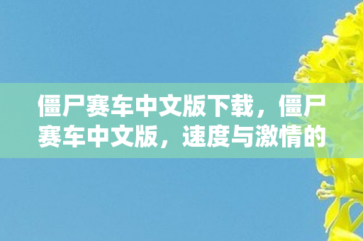 速度与激情的另类演绎图片