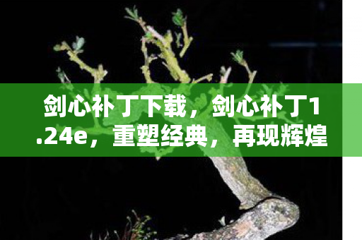 剑心补丁下载图片