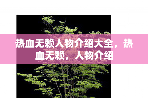 热血无赖人物介绍大全图片