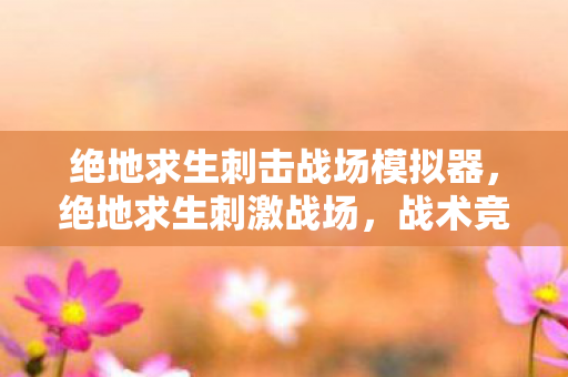 绝地求生刺击战场模拟器，绝地求生刺激战场，战术竞技的天花板，不仅仅是吃鸡那么简单